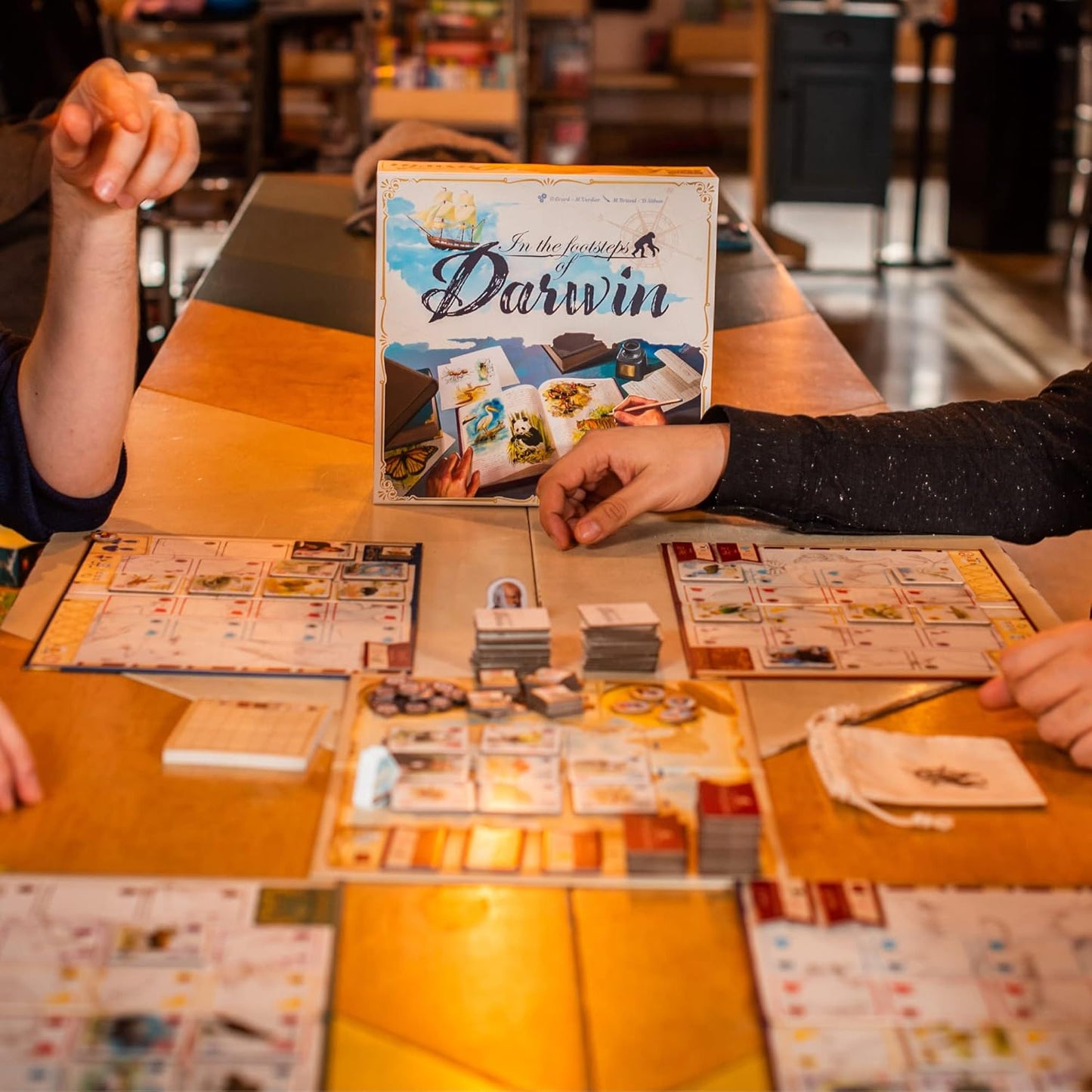 In the Footsteps of Darwin | Tile Laying Board Game | Ages 8+ | 2 to 5 Players | 30 Minutes