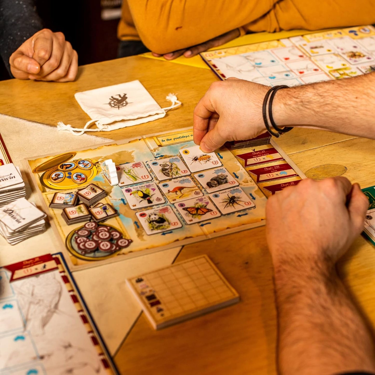 In the Footsteps of Darwin | Tile Laying Board Game | Ages 8+ | 2 to 5 Players | 30 Minutes